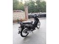 Sahibinden Honda Wing-go