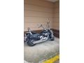 Sahibinden Suzuki VL 800 Intruder 