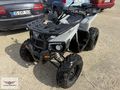 OFF ROAD RA5 250