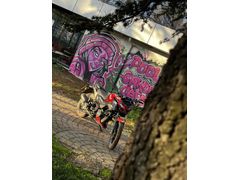 Sahibinden TVS Raider 125 