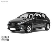 Peugeot 206 havuz paspas takımı rizline