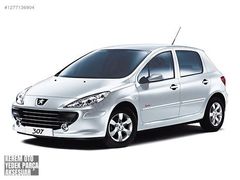 Peugeot 307 havuz paspas takımı rizline