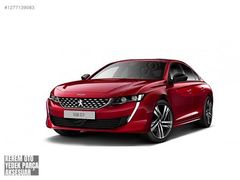 Peugeot 508 havuz paspas takımı rizline