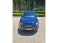 Sahibinden Ford EcoSport 1.0 Ecoboost Atom Karınca