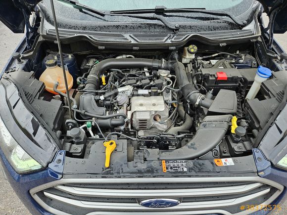 Sahibinden Ford EcoSport 1.0 Ecoboost Atom Karınca