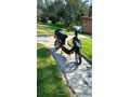 Sahibinden Elektrikli Araçlar Scooter Stmax