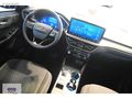 Ford Kuga 1.5 Ecoboost Titanium 186HP - 2025