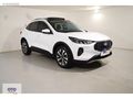 Ford Kuga 1.5 Ecoboost Titanium 186HP - 2025