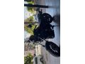 SIFIR FIRSAT TOGO TG250  900km
