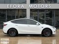 EFORA 2023 Tesla Model Y Performance Legacy 4WD Hatasız
