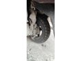 memurdan Honda Activa 125