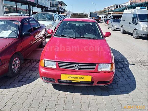 Polo kilimalı