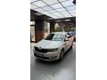 Sahibinden Skoda Rapid 1.6 TDI Elegance 2013 Model