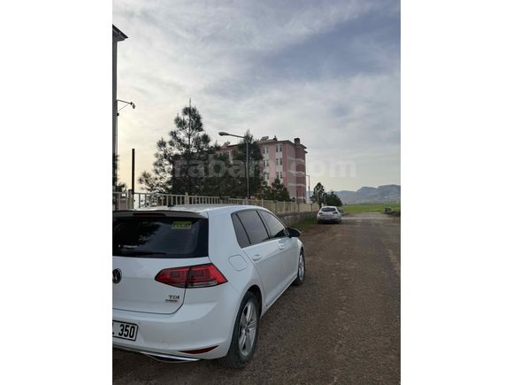 Güncel exper. Ekledim. Beyaz incim.