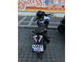 Sahibinden Bajaj Pulsar 200 RS Kütahya