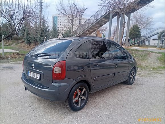 Cam Tavan Citroen Xsara