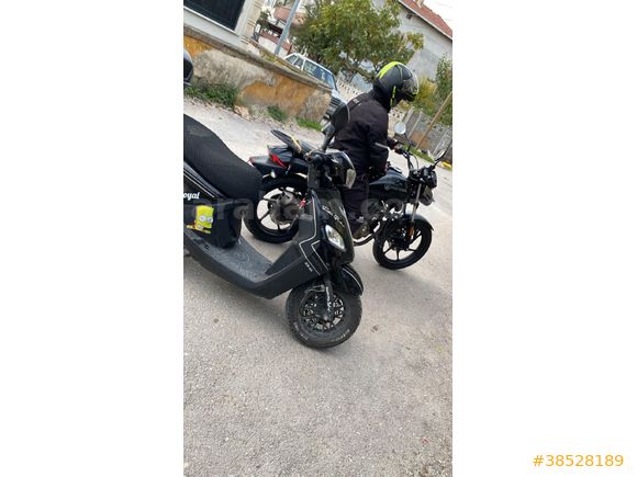 Sahibinden Kral Motor KR-44 Loyal 50