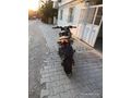 Sahibinden Bajaj Pulsar 200 NS ABS