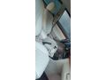Sahibinden Toyota Avensis 2.0 D-4D Elegant 2008 Model