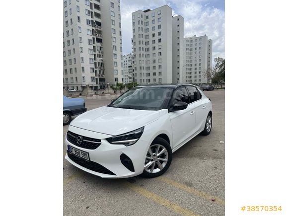 Bayandan 2023 corsa  elegans 