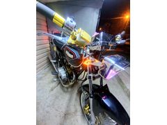Sahibinden Kuba Çita 50R Gold