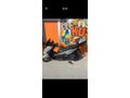Sahibinden Honda Forza 250 (NSS250) sıfır gibi hatasizİzmir