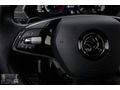 2023 OCTAVİA 1.5 e-TEC PREMIUM 38 BİN KM YETKİLİ SERVİS BAKIMLI