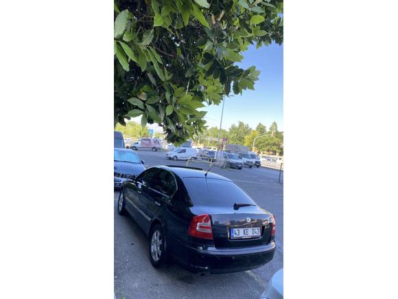 İLANDA TEK 2006  SKODA OKTAVİA FSI ELEGANCE SUNRUFF FULL+FULL 