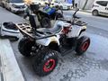 FATİH MOTOR & ATV'DEN KUBA MX220 DÜŞÜK KM KARGO VE TAKAS