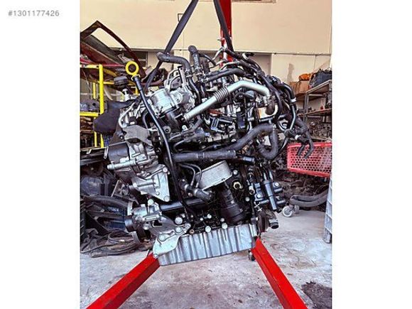 T8 transporter DNA DOLU MOTOR SÖKME