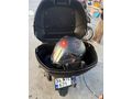 * SYM Jet 14 200i – POSTAN ÇEKİM-Kendi Bankamızdan Taksit İmkânı