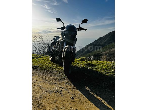 Sahibinden Bajaj Dominar 250 D 