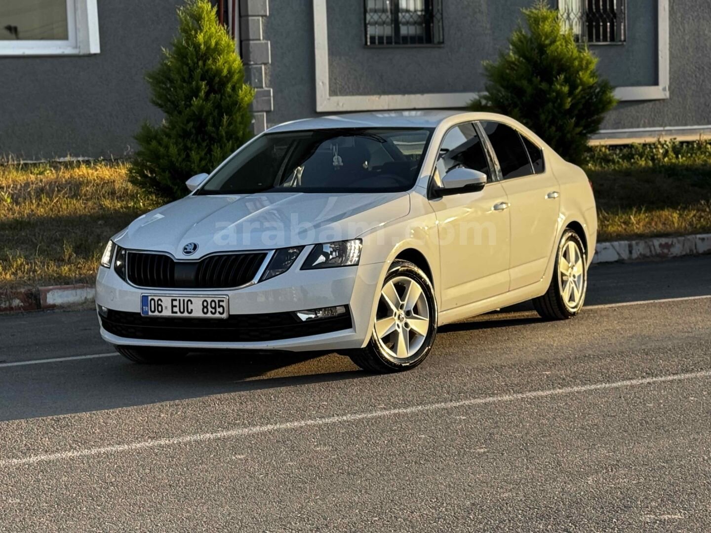 MEMURDAN TEMİZ OCTAVİA 4