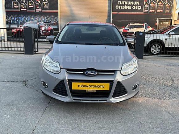 Boyasız Nardo Gri Focus