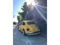 Sahibinden Volkswagen The Beetle 1.3 1974 Model 