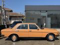 1976 Mercedes Benz 230.4 235.000Km Emsalsiz