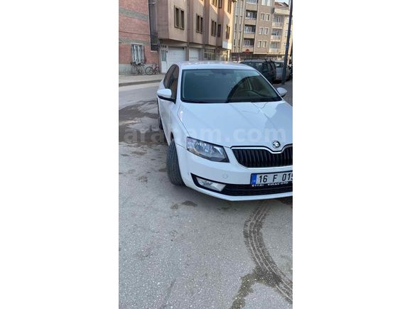 Sahibinden Skoda Octavia 1.6 TDI Ambition 2013 Model 
