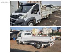 SIFIR AYARINDA AÇIK SAÇ KASA DALİ FORT RENO ISUZU DUKATO LARA