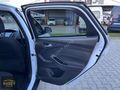 OTOMATİK TREND X DEĞİŞENSİZ