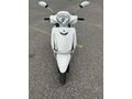 Sahibinden Yamaha D'elight 