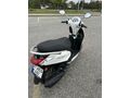 Sahibinden Yamaha D'elight 