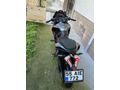 Sahibinden Bajaj Pulsar 200 RS 
