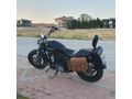 Sahibinden Harley Davidson Sportster 1200 Custom