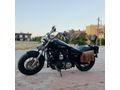 Sahibinden Harley Davidson Sportster 1200 Custom