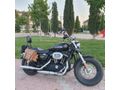 Sahibinden Harley Davidson Sportster 1200 Custom