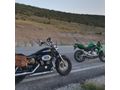 Sahibinden Harley Davidson Sportster 1200 Custom