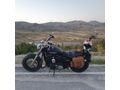 Sahibinden Harley Davidson Sportster 1200 Custom