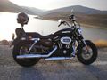 Sahibinden Harley Davidson Sportster 1200 Custom
