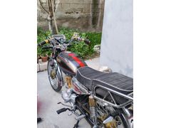 Sahibinden Kuba Çita 50R Gold