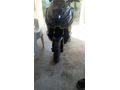Sahibinden Kral Motor KR-200 Titus 196 CC